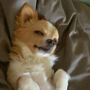 Meet your Posher, Thanh